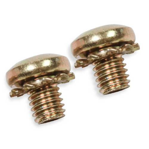 Quick Fuel Throttle Shaft End Screws, Holley, Pair